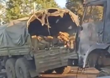 МЧС России: обстановка в Курской области отнесена к ЧС федерального характера 