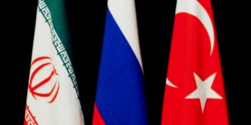 Паразиты