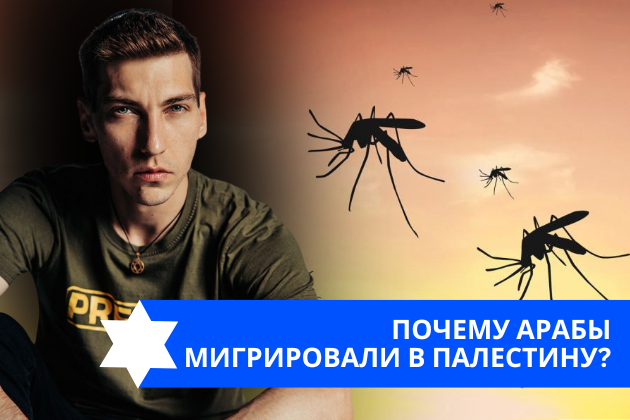 Эзра Мор: Почему арабы мигрировали в Палестину?